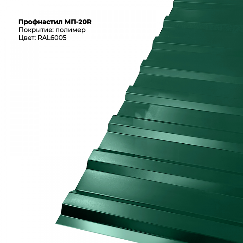 6005